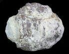 Crystal Filled Dugway Geode #33183-1